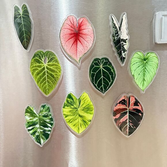 Set of 9 Handmade Anthurium Leaf Resin Fridge Magnets, Tropical Plant Decor - Picture 1 of 10